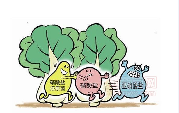 燕窝和亚硝酸盐