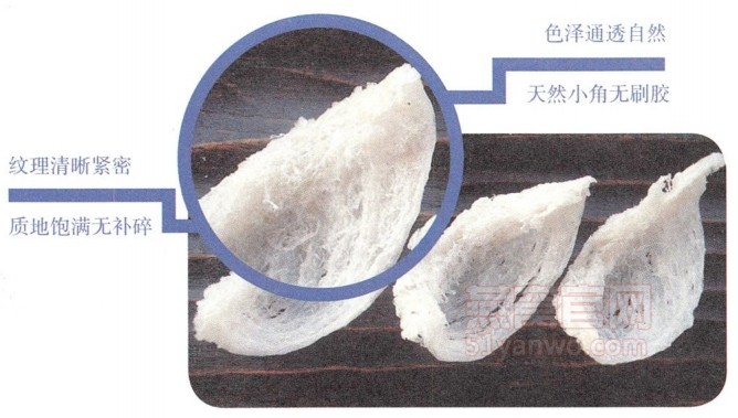 燕窝