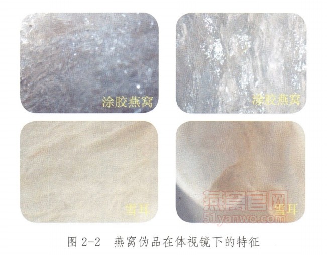 假燕窝