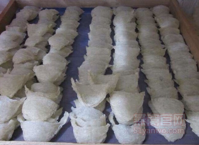 泰国燕窝好吗