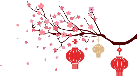 燕窝